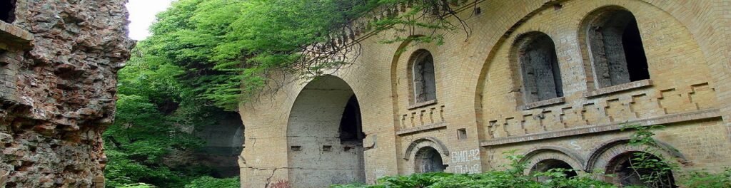 Таракановский (Дубенский) форт