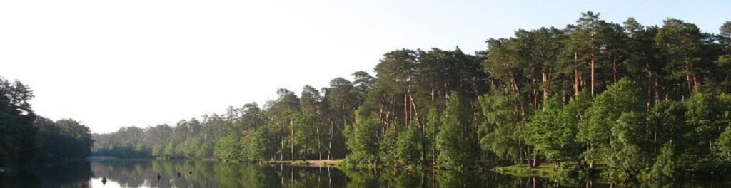 размещения